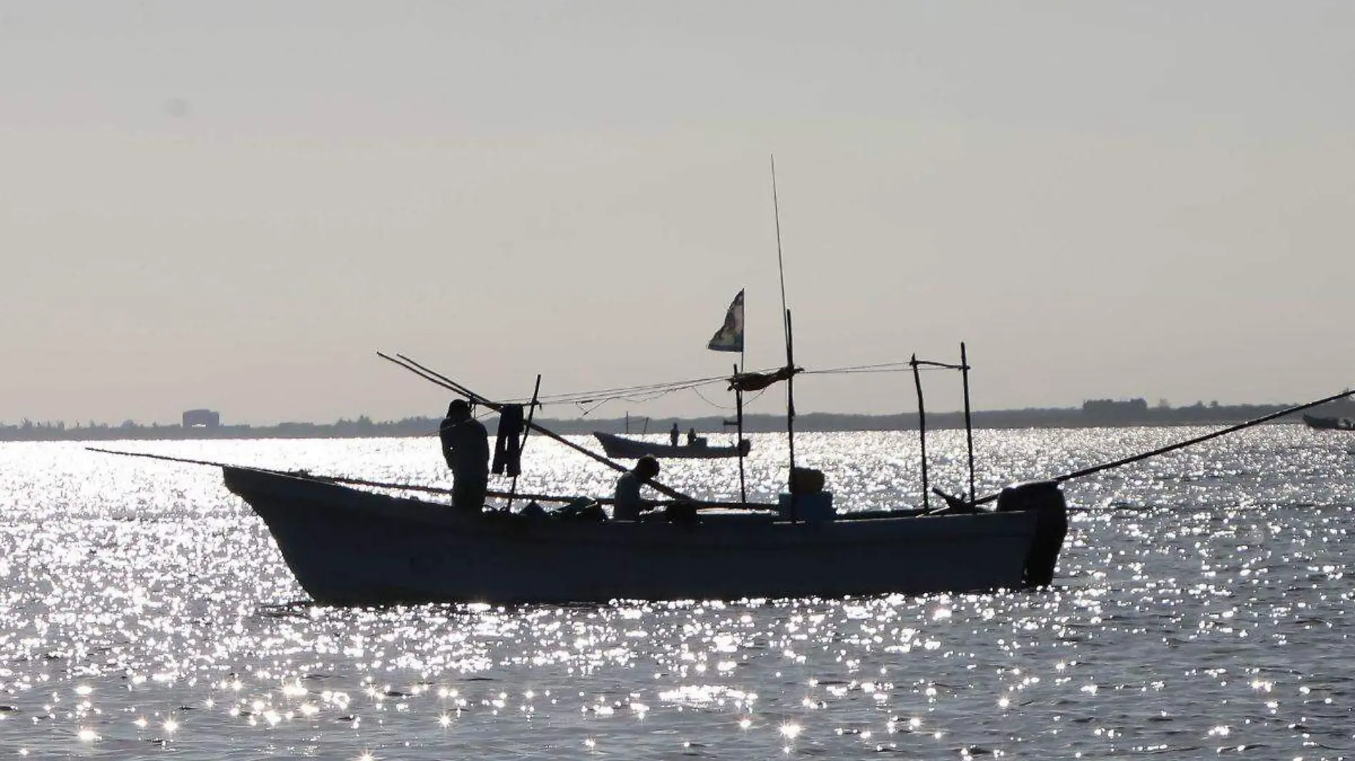 Pesca ilegal de Totoaba